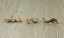 Комплект "Ящерки", султанит, покрытие под золото, размеры кольца:17