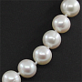 Бусы белый жемчуг, ровный круглый 10мм, короткий 45см Бусы белый жемчуг, ровный круглый 10мм, короткий 45см