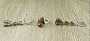 Комплект "Султан-1", султанит, покрытие родий, размеры кольца:17